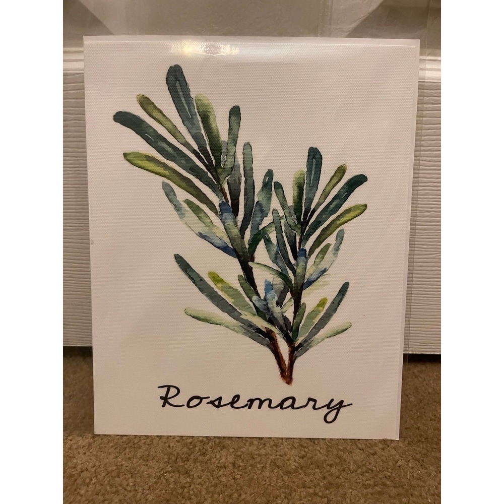 Rosemary Botanical Watercolor Art Print Green Herb Kitchen Decor Unframed